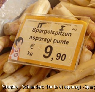 Silandro - Schlanders: Punte di asparagi - Spargelspitzen