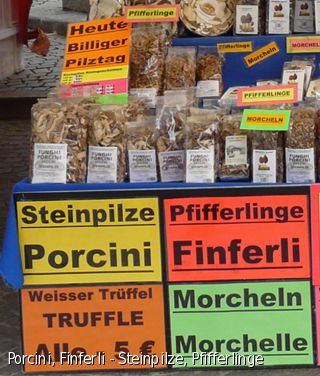 Porcini, Finferli - Steinpilze, Pfifferlinge